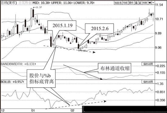 揭秘600063最新小道消息，深度剖析行业趋势与未来发展动向