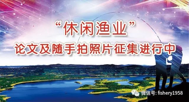 昆明西南海最新动态，生态恢复与可持续发展的前沿探索