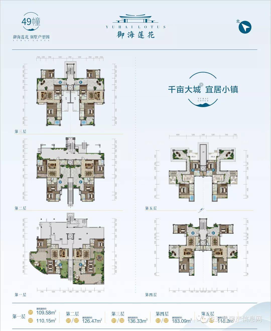 新野最新独院买卖信息概览