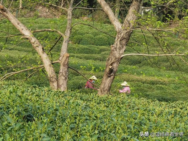 济南山凹庄最新动态，揭开古老村落的新篇章