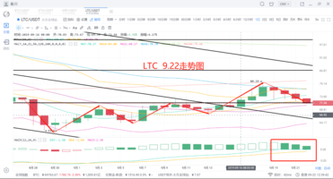 胡椒价格最新消息，市场走势、影响因素及未来预测