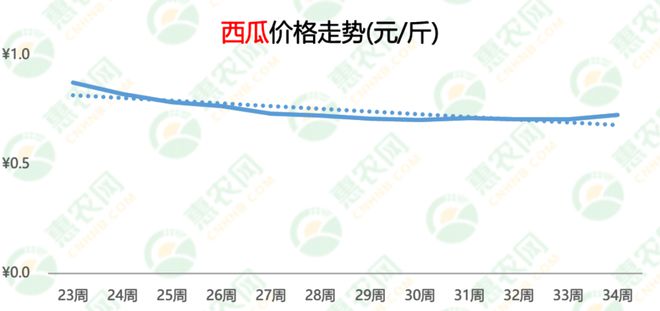 西瓜产地价格最新行情深度解析