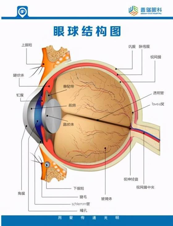 刘华为最新出诊时间，关注健康，从了解开始