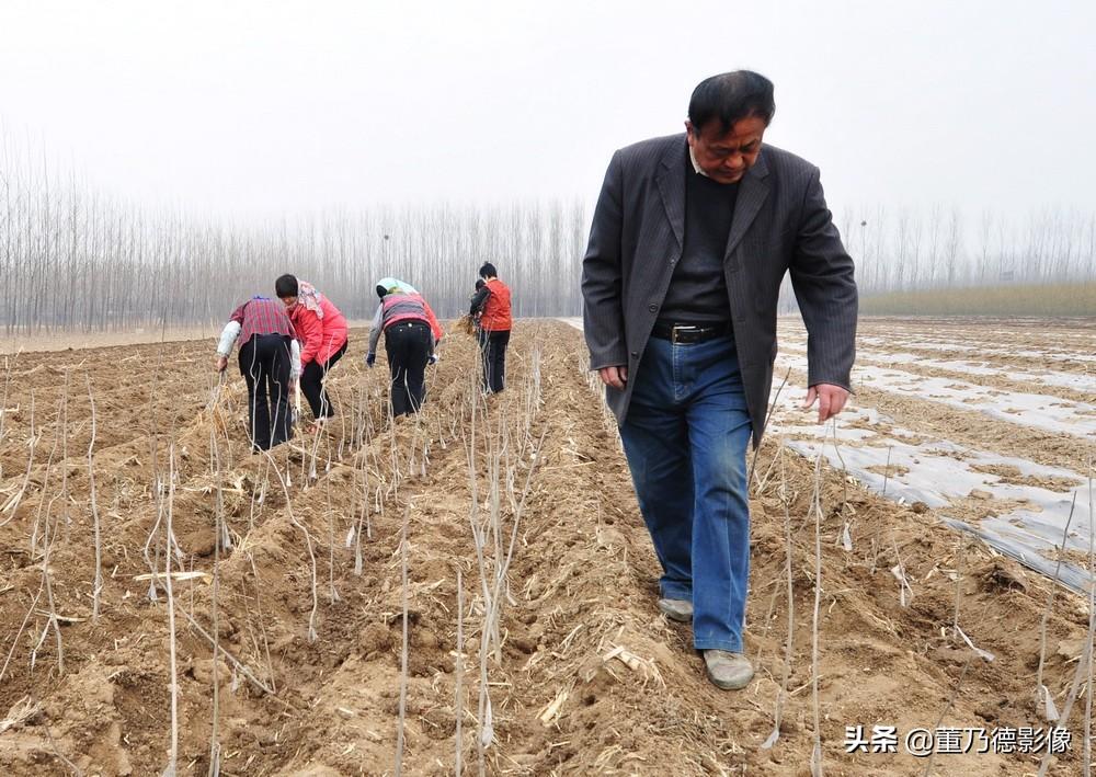 山东荒山荒地承包的最新信息及其影响