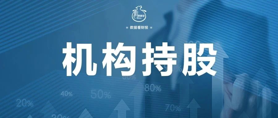 关于丝毫资本最新消息的全面解读