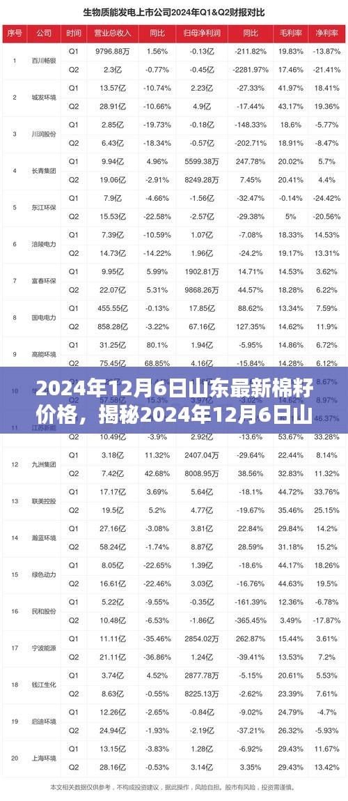 今日山东棉花最新价格，市场走势与影响因素分析